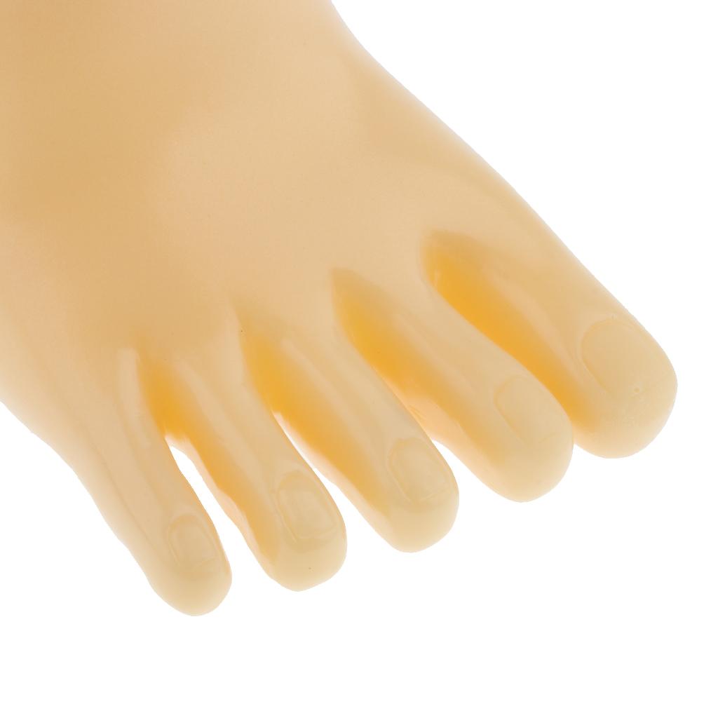 Plastic Foot Model Mannequin for Socks Shoes Anklet Display Skin Color-Right