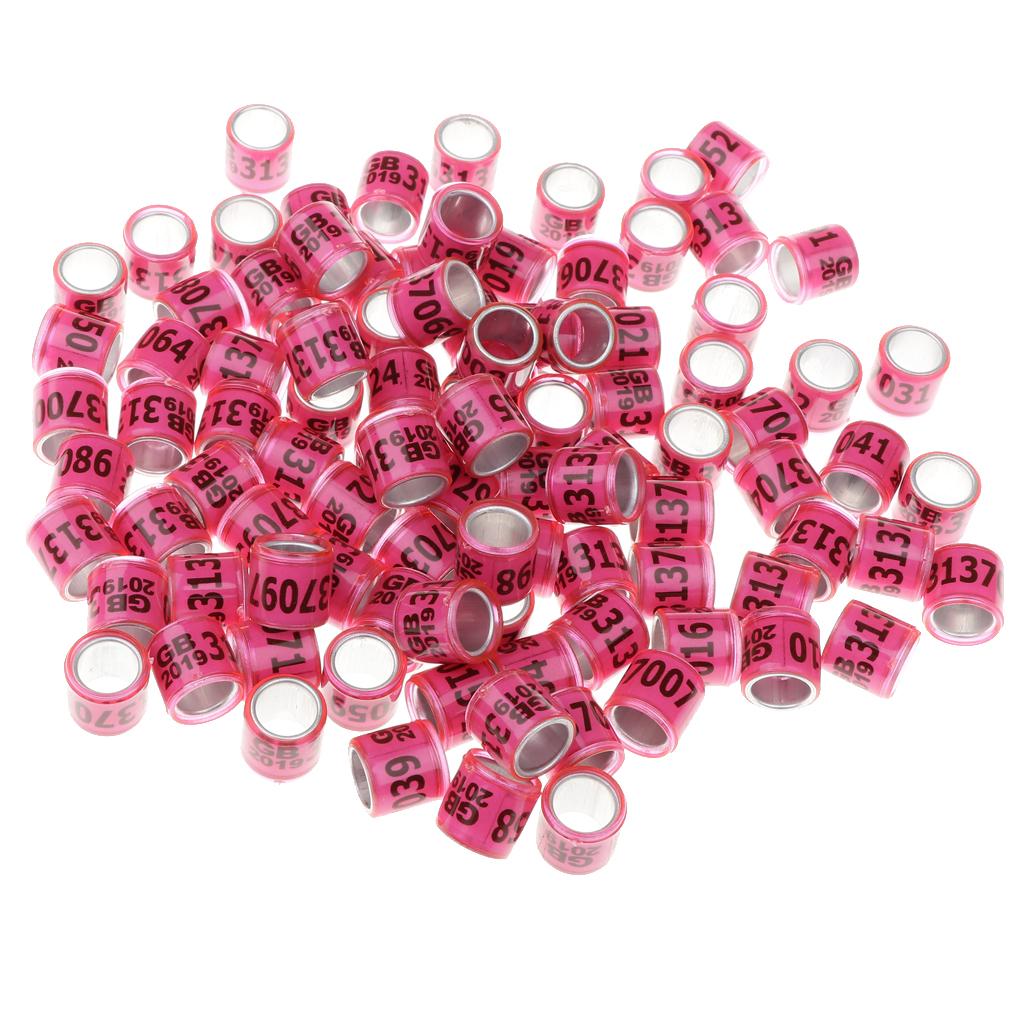 100 Pieces Racing Pigeon Leg Ring Band Tag with Place Name & Number Pink