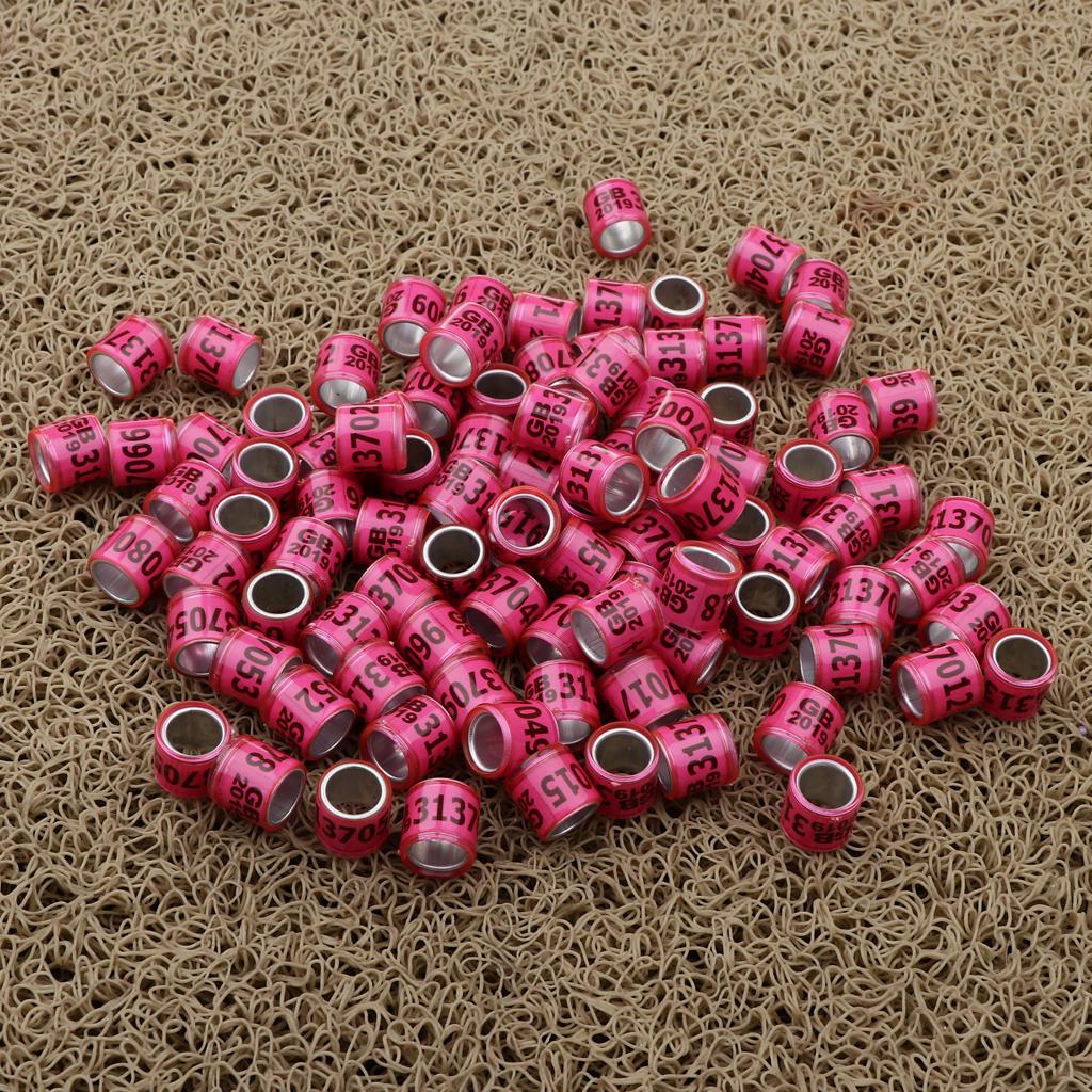 100 Pieces Racing Pigeon Leg Ring Band Tag with Place Name & Number Pink