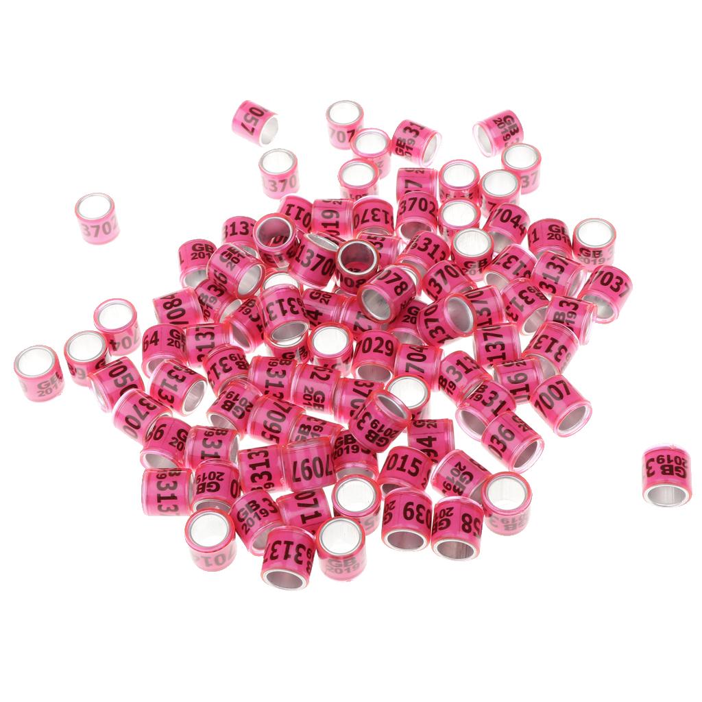 100 Pieces Racing Pigeon Leg Ring Band Tag with Place Name & Number Pink