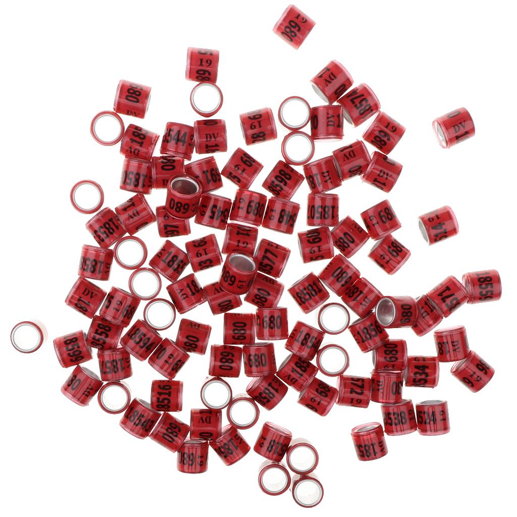 100 Pieces Racing Pigeon Leg Ring Band Tag with Place Name & Number Red