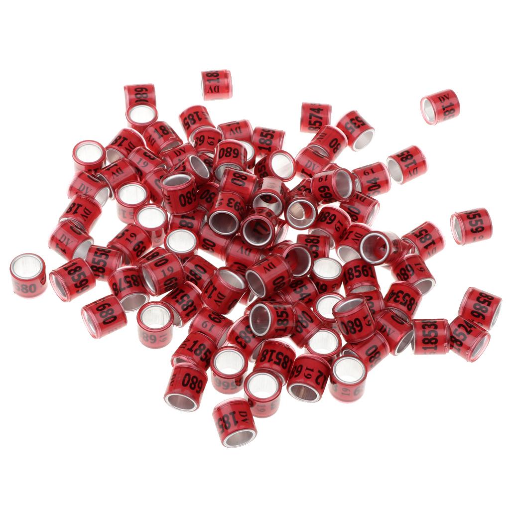 100 Pieces Racing Pigeon Leg Ring Band Tag with Place Name & Number Red