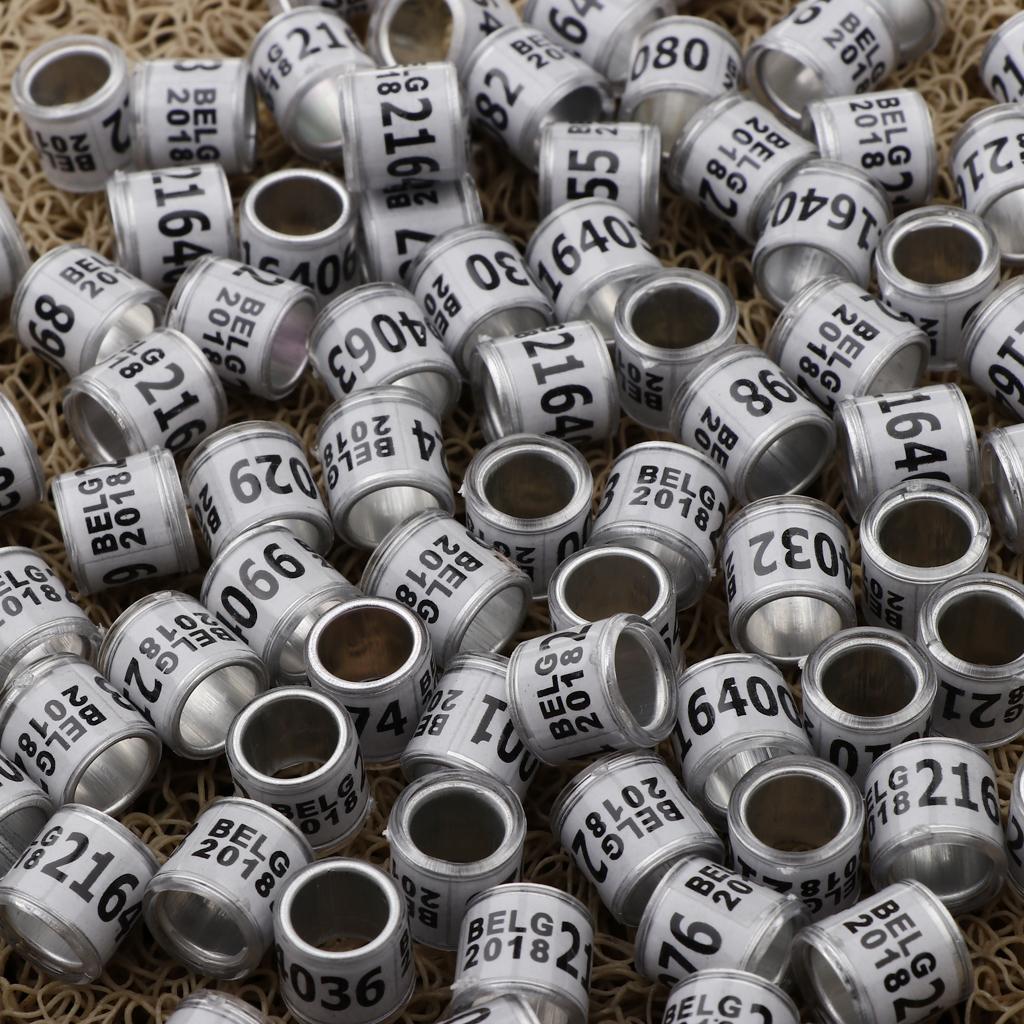 100 Pieces Racing Pigeon Leg Ring Band Tag with Place Name & Number White