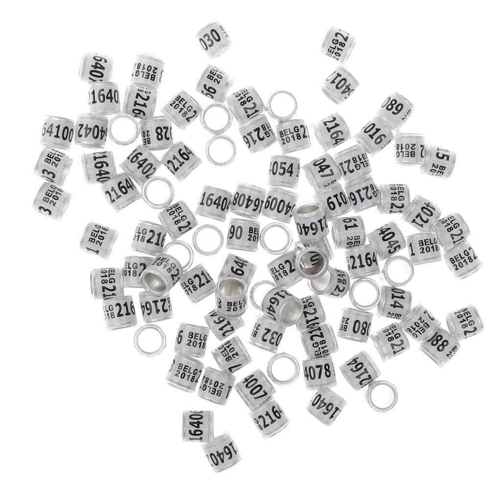 100 Pieces Racing Pigeon Leg Ring Band Tag with Place Name & Number White