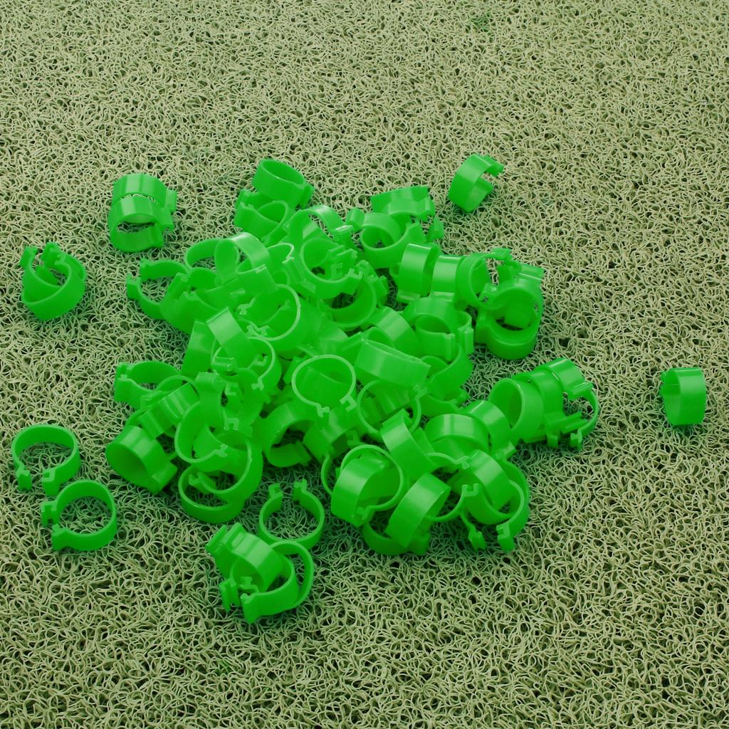 100 Pieces Chicken Poultry Leg Rings Bands Clip 1.8cm Green