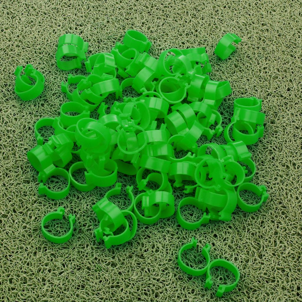 100 Pieces Chicken Poultry Leg Rings Bands Clip 1.8cm Green