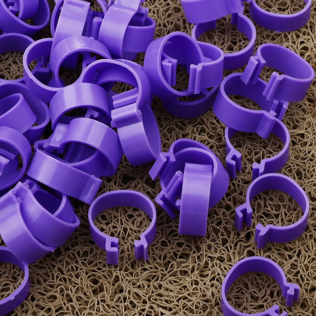 100 Pieces Chicken Poultry Leg Rings Bands Clip 1.8cm Purple