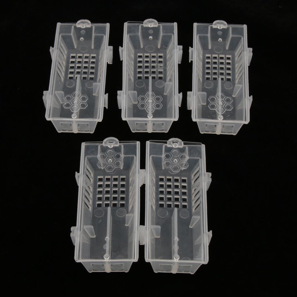 5 Pieces European Style Queen Bee Cage, Transport Bee Cage Beekeeping Tool