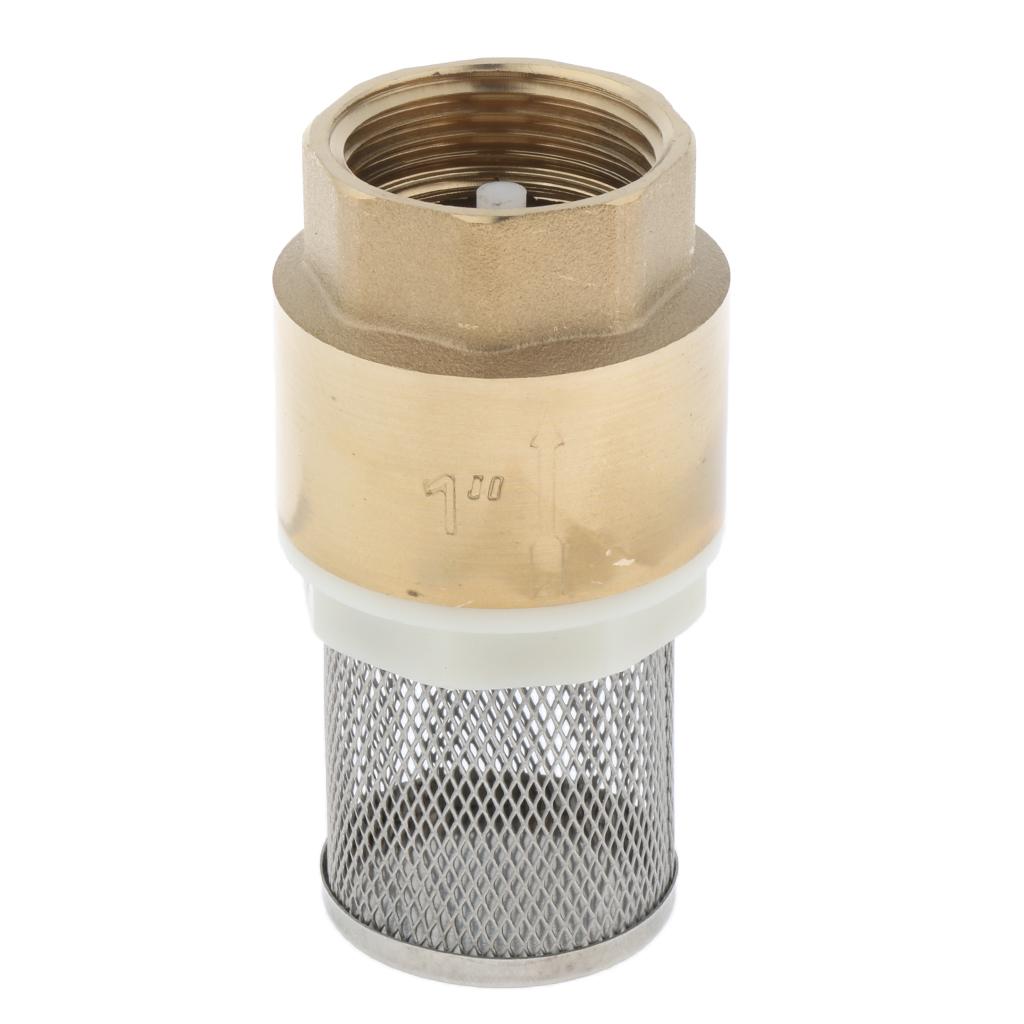 Brass Foot Valve Mesh Check Valve with Strainer Filter DN25