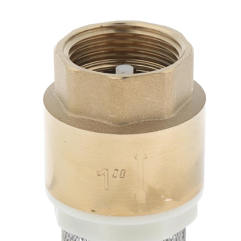 Brass Foot Valve Mesh Check Valve with Strainer Filter DN25