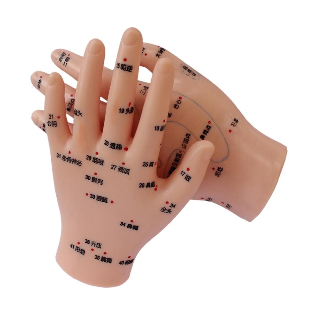 1 Pair PVC Human Acupuncture Point Meridian Hand Teaching Education
