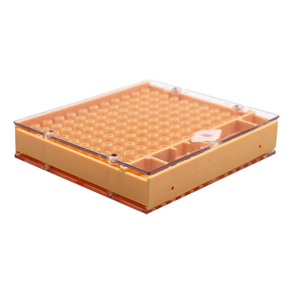 Beekeeping Tools Equipment Set Queen Rearing System Cultivating Box