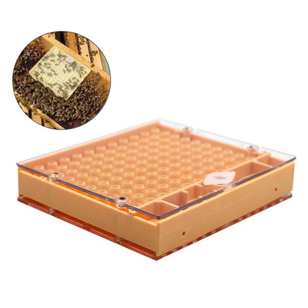 Beekeeping Tools Equipment Set Queen Rearing System Cultivating Box