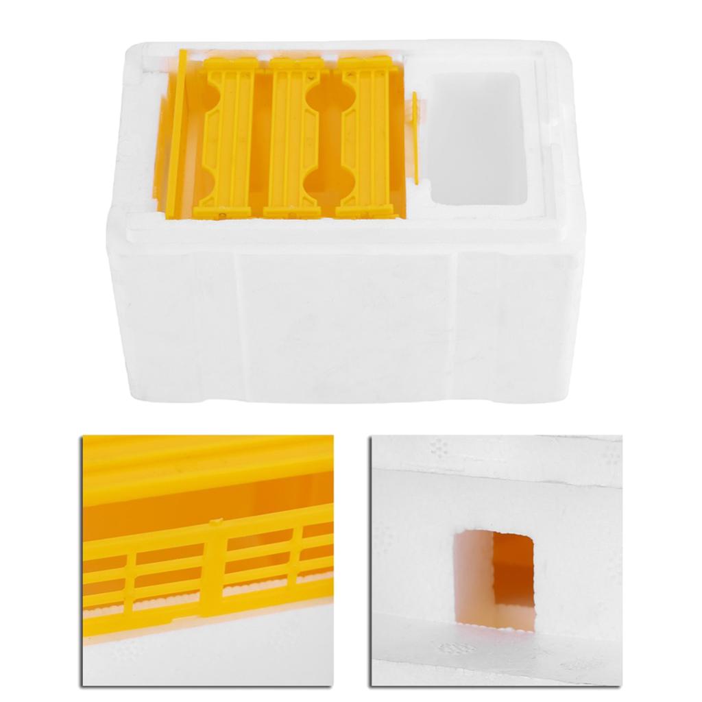 Harvest Bee Hive Beehive Pollination Box Foam Bee Comb Beekeeping Tool