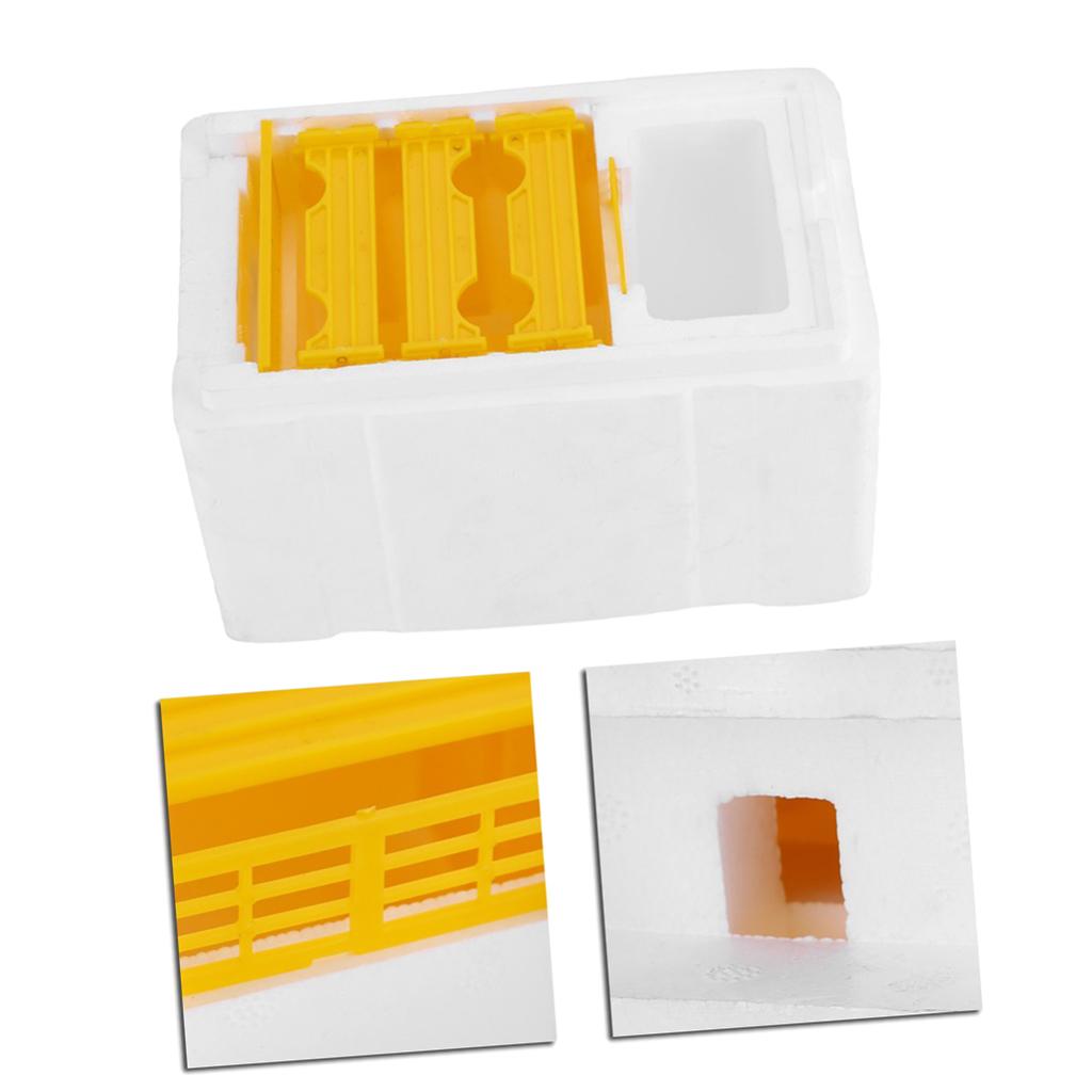 Harvest Bee Hive Beehive Pollination Box Foam Bee Comb Beekeeping Tool
