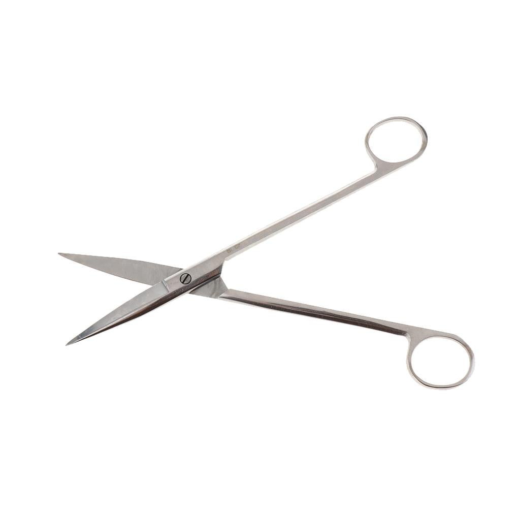 Stainless Steel Beauty Mustache Eyebrow Scissors 20cm Straight Tip