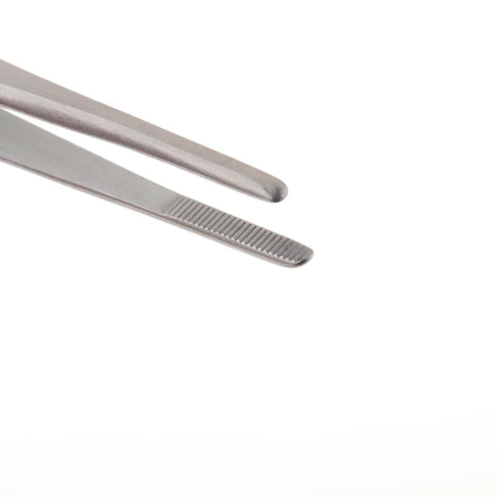 Long Stainless Steel Straight Tweezers for Detailed Work 20cm Length A