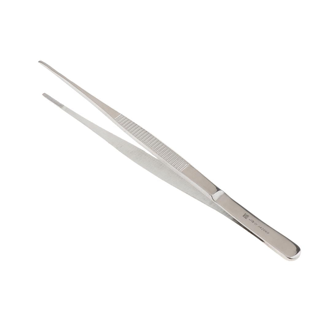 Long Stainless Steel Straight Tweezers for Detailed Work 22cm Length A