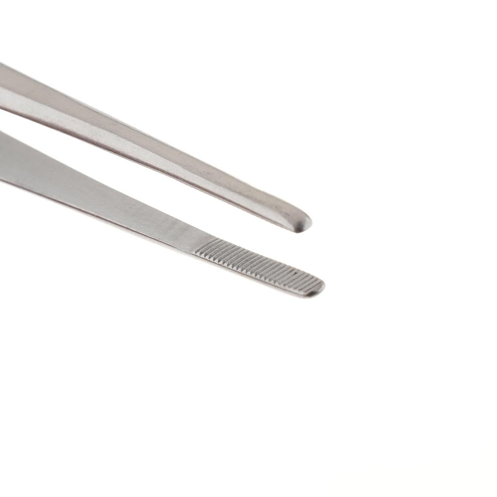 Long Stainless Steel Straight Tweezers for Detailed Work 22cm Length A