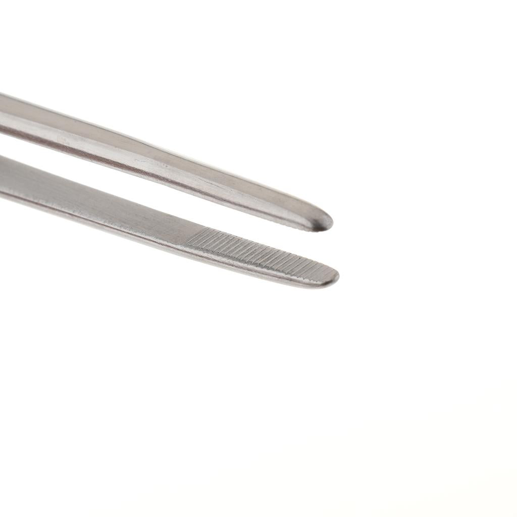 Long Stainless Steel Straight Tweezers for Detailed Work 25cm Length A