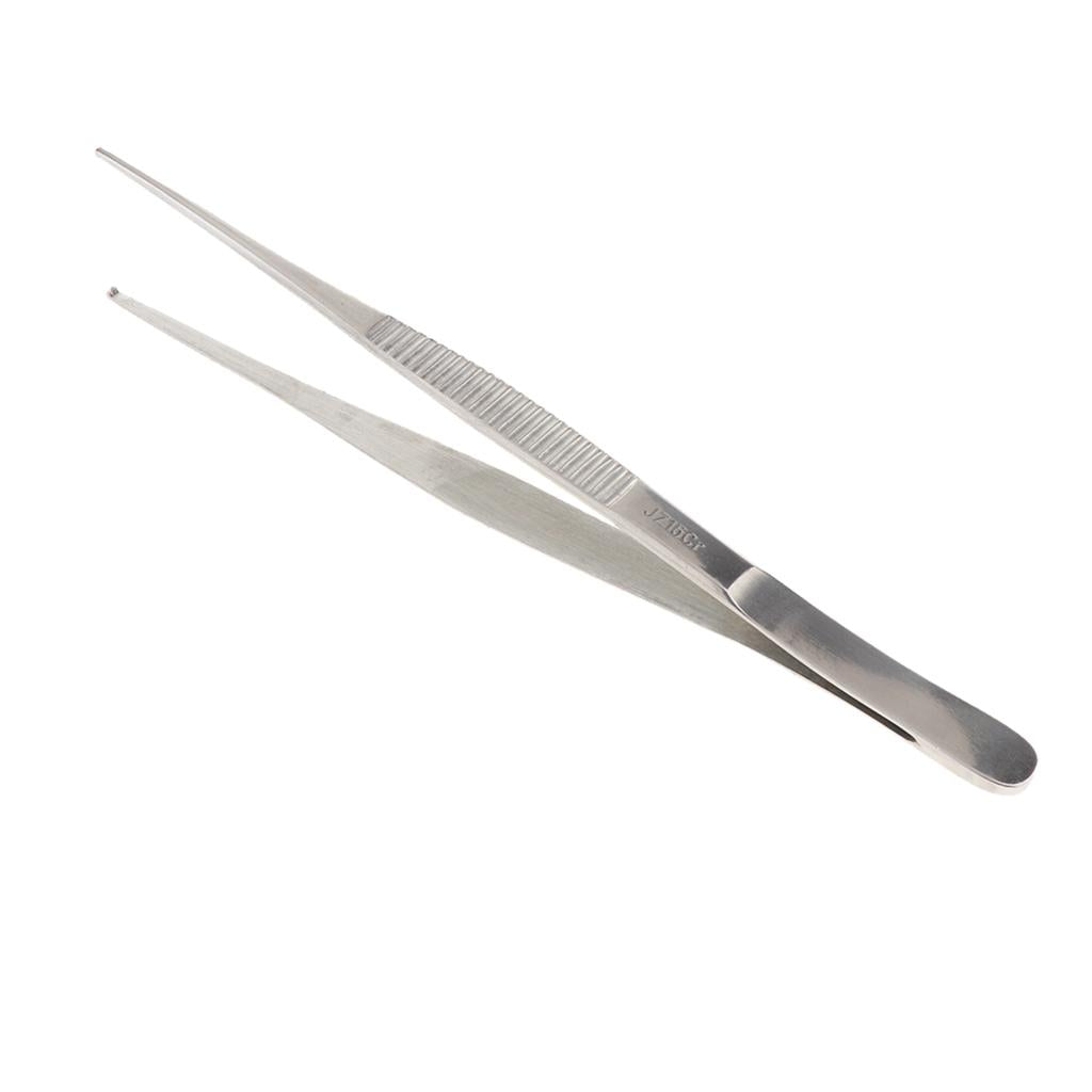 Long Stainless Steel Straight Tweezers for Detailed Work 20cm Length B