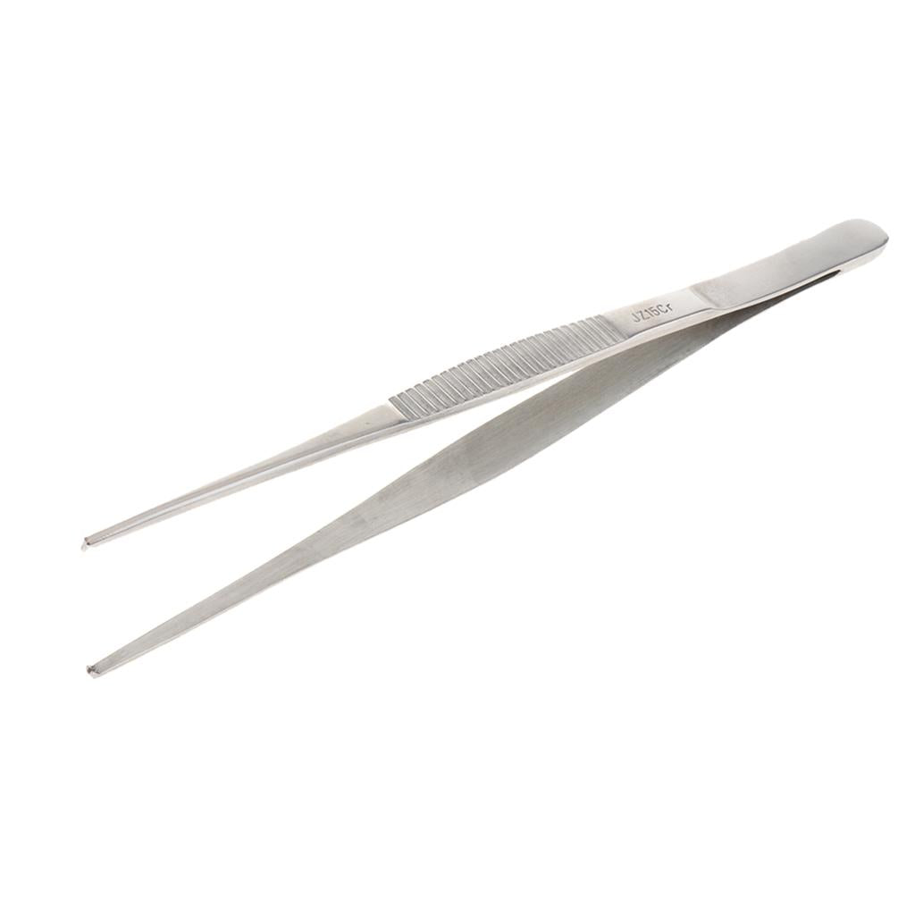 Long Stainless Steel Straight Tweezers for Detailed Work 20cm Length B