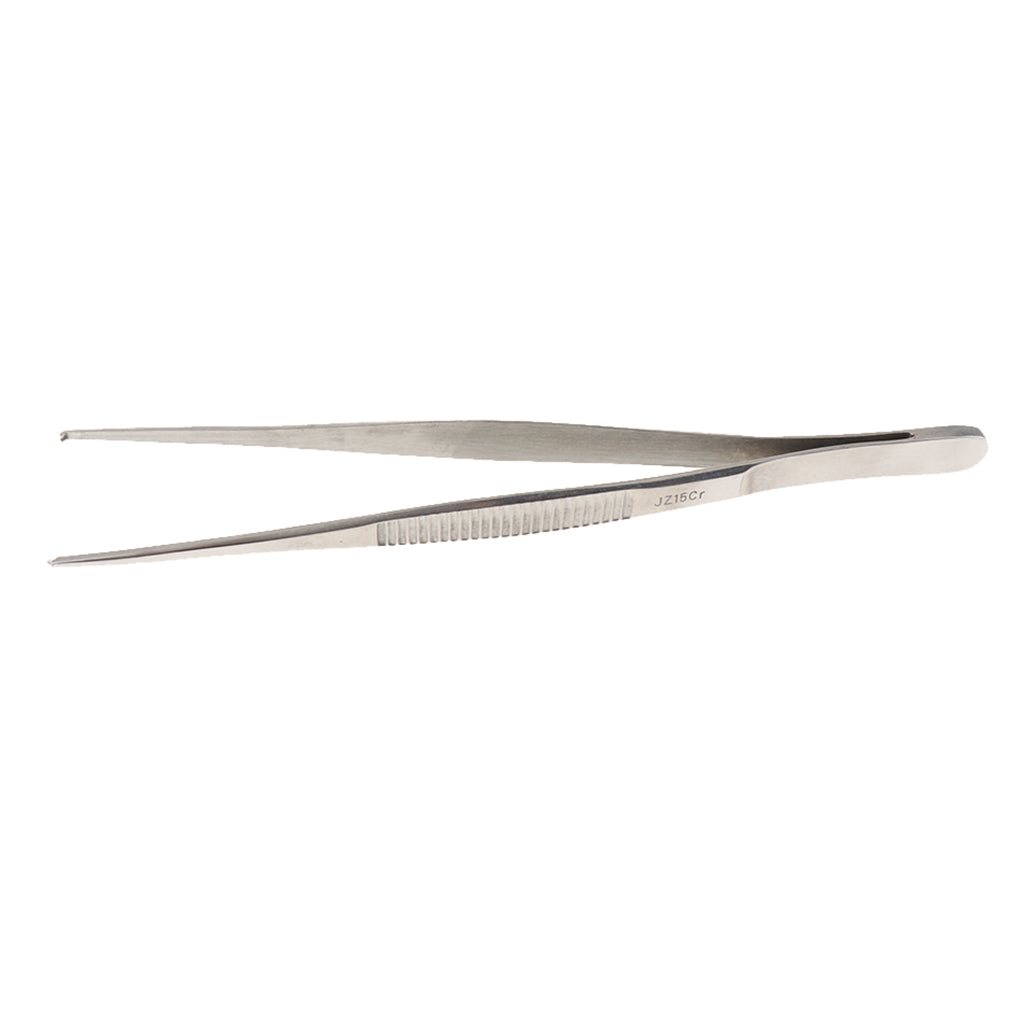 Long Stainless Steel Straight Tweezers for Detailed Work 20cm Length B