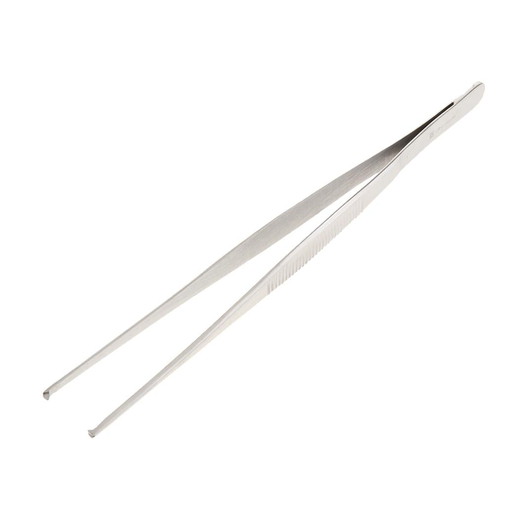 Long Stainless Steel Straight Tweezers for Detailed Work 25cm Length B