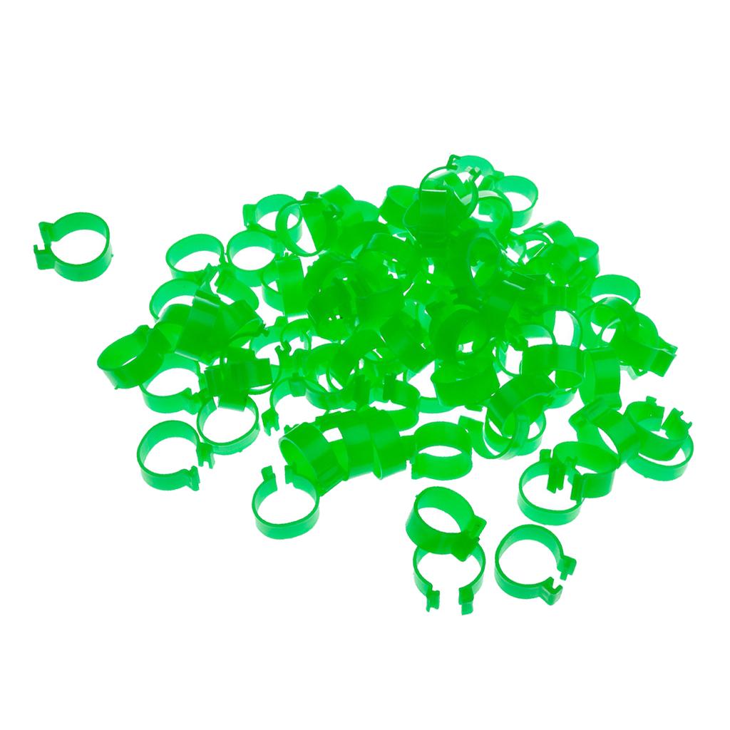 100x Chicken Poultry Leg Rings Bands Clip NO Numbers Green 2.0cm Inner Dia.