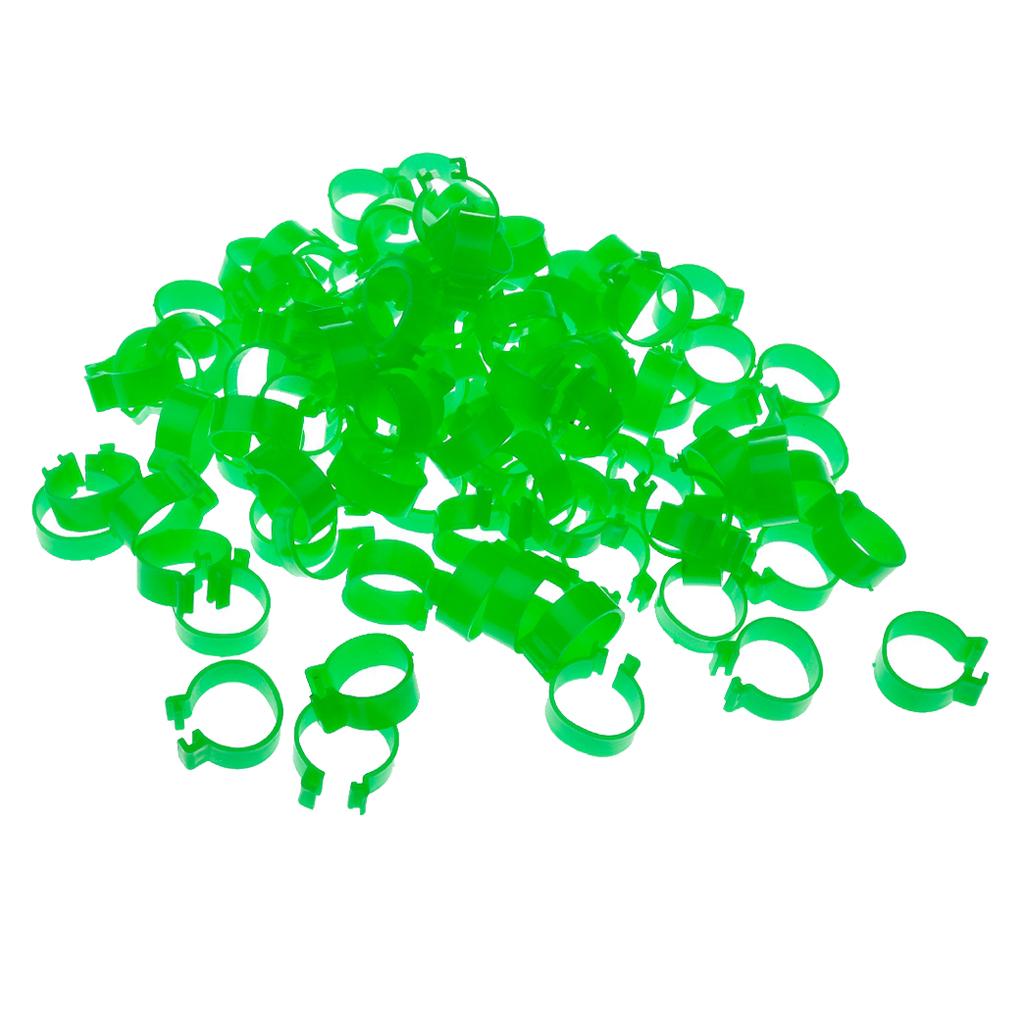 100x Chicken Poultry Leg Rings Bands Clip NO Numbers Green 2.0cm Inner Dia.