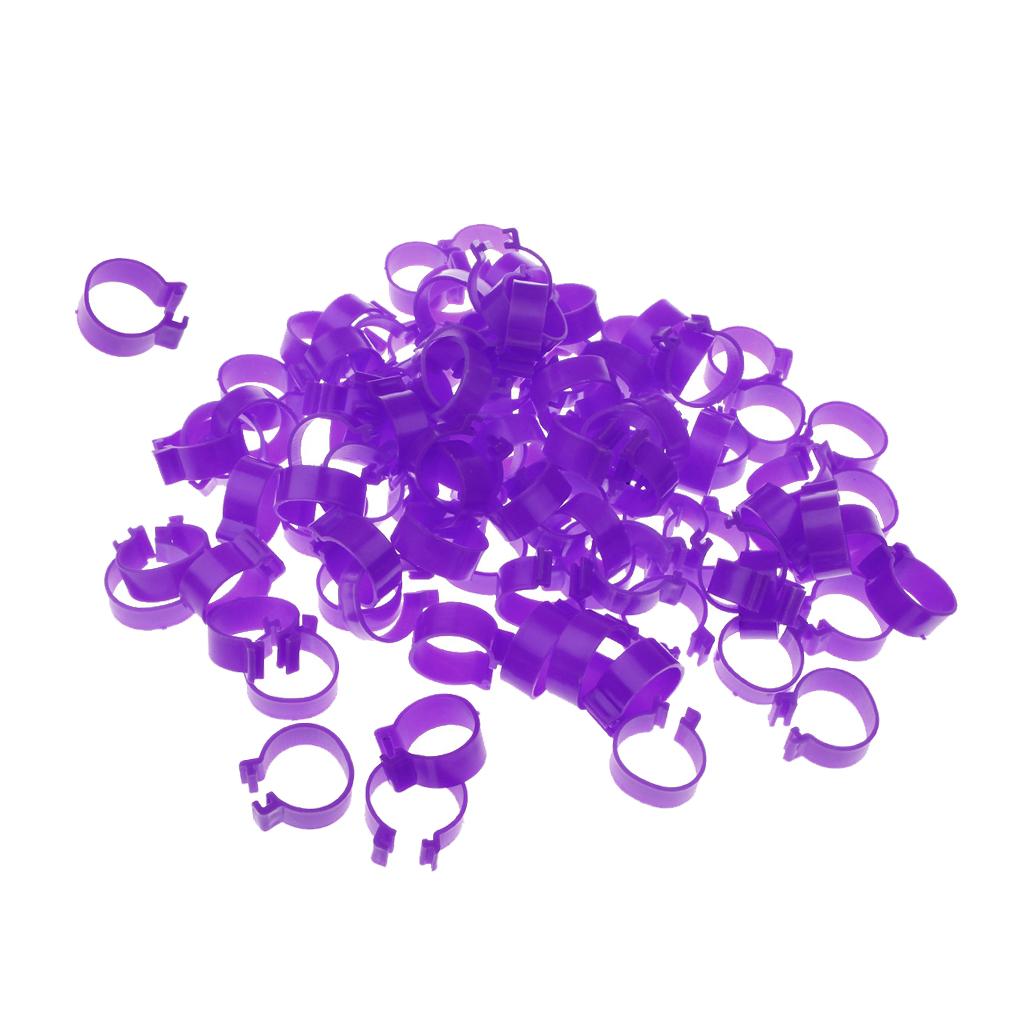 100x Chicken Poultry Leg Rings Bands Clip NO Numbers Purple 2.0cm Inner Dia.