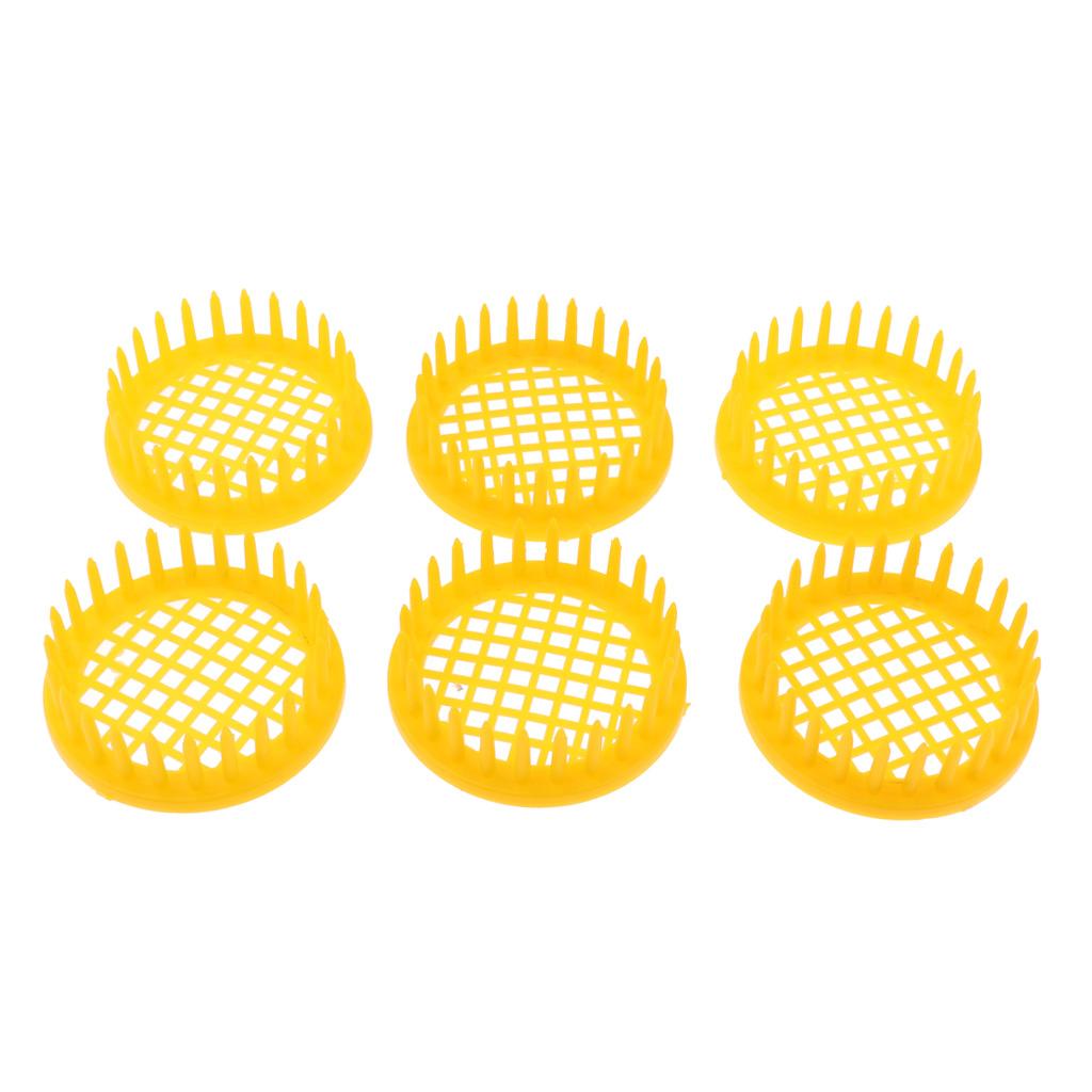 6PCS Plastic Round Needle Queen Bee Cage Beekeeping Rearing Tool Supplies