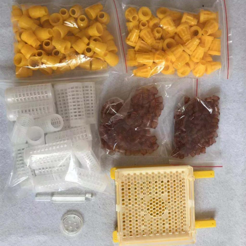 Plastic Beekeeping Tools Equipment Set Queen Rearing System Cultivating Tool