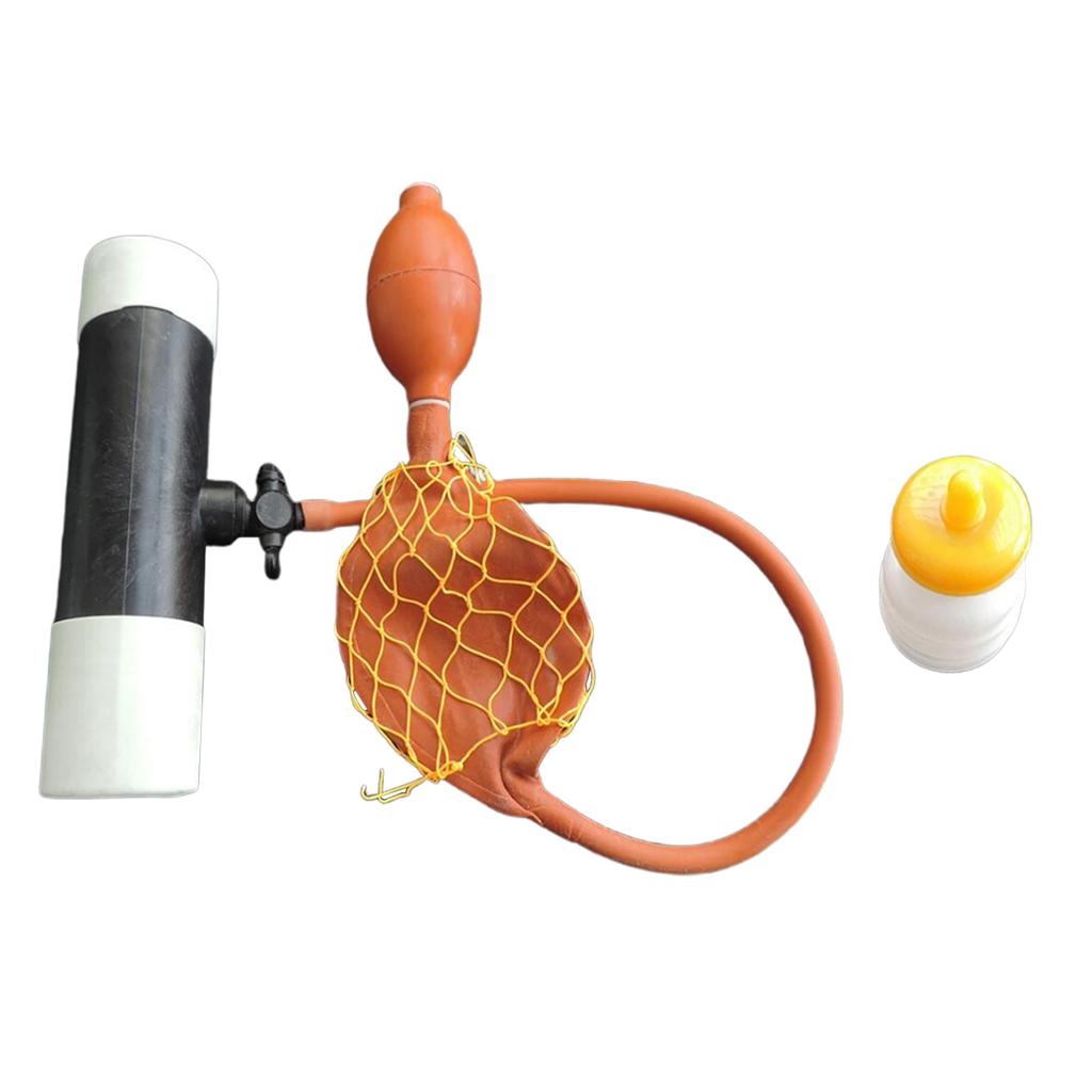 Artificial Insemination Sperm Collection Equipment Collector for Sheep