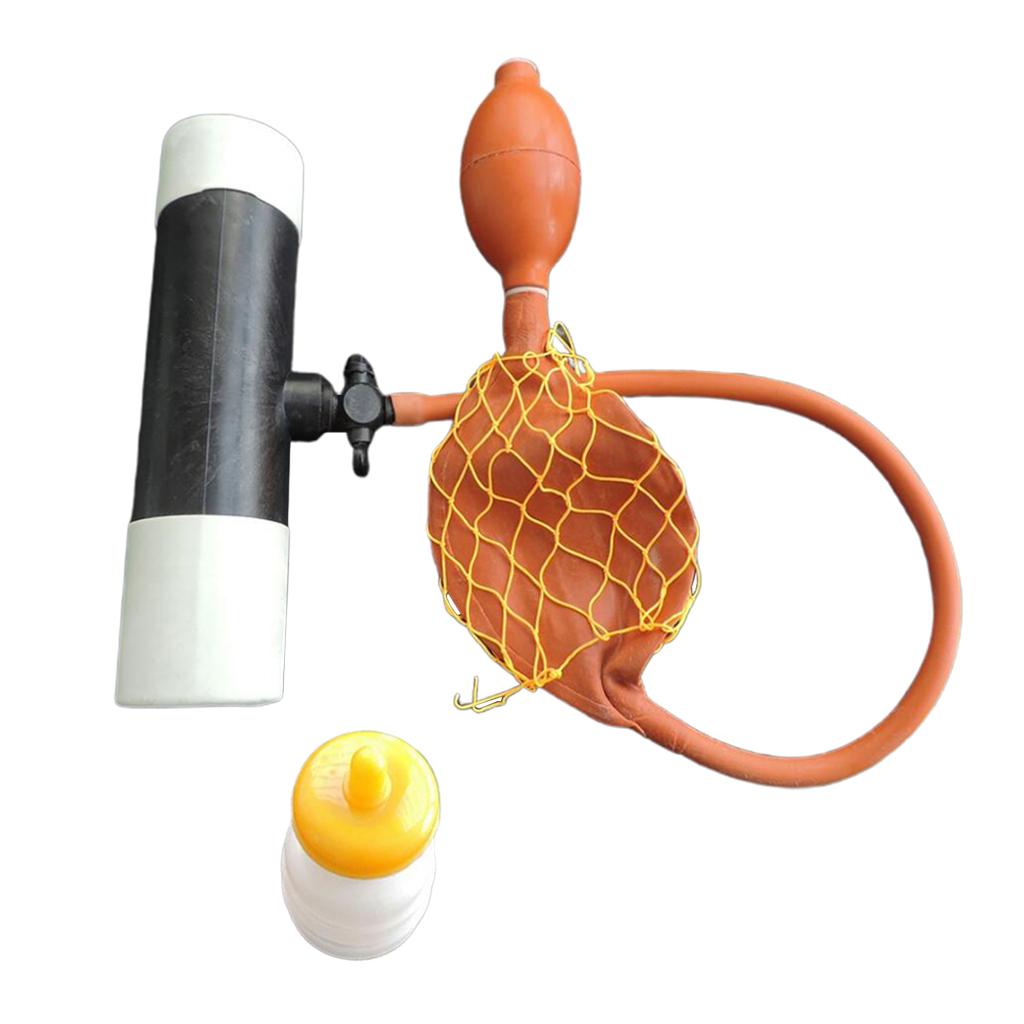 Artificial Insemination Sperm Collection Equipment Collector for Sheep