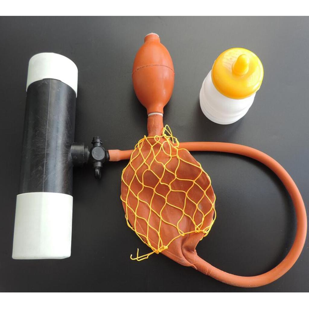 Artificial Insemination Sperm Collection Equipment Collector for Sheep