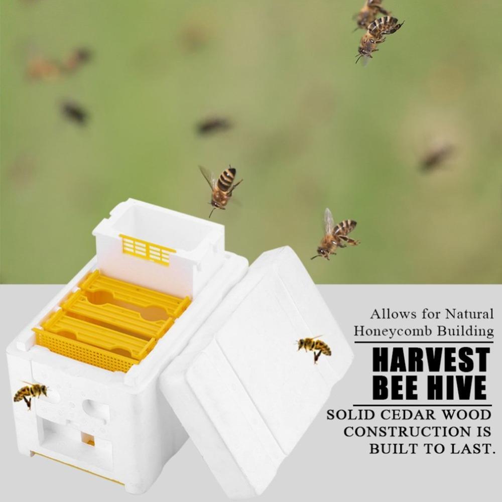 1pc Foam Beehives Bee Tail Box Frames Beekeeping Equipment Tools Supplies