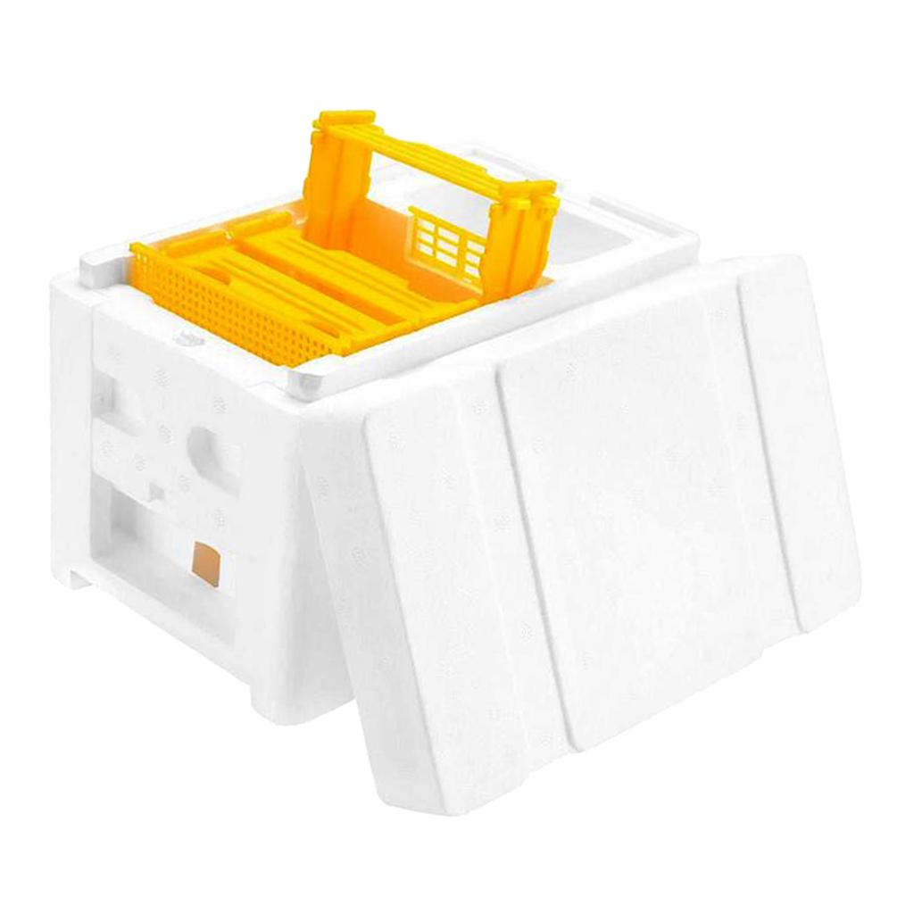 1pc Foam Beehives Bee Tail Box Frames Beekeeping Equipment Tools Supplies