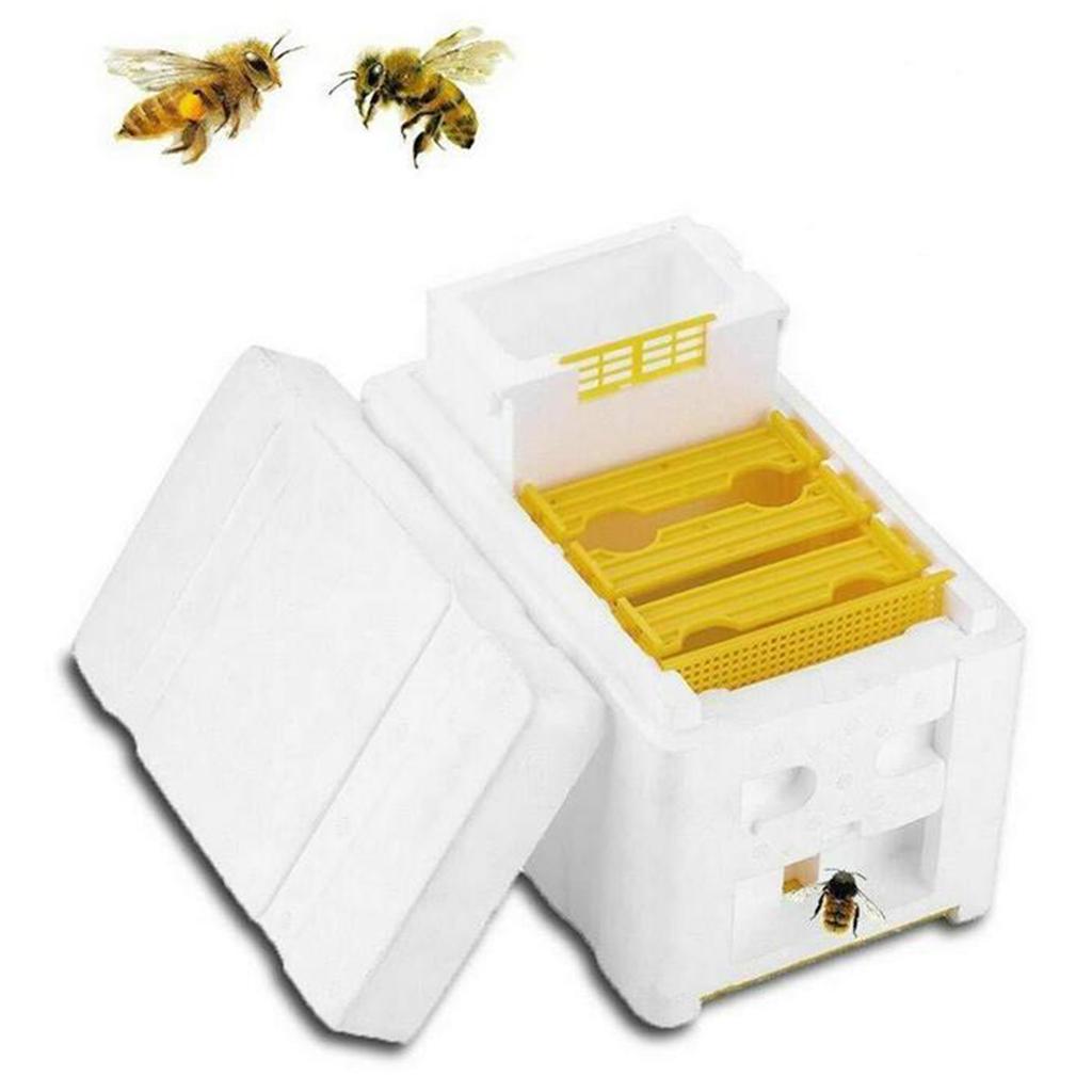 1pc Foam Beehives Bee Tail Box Frames Beekeeping Equipment Tools Supplies