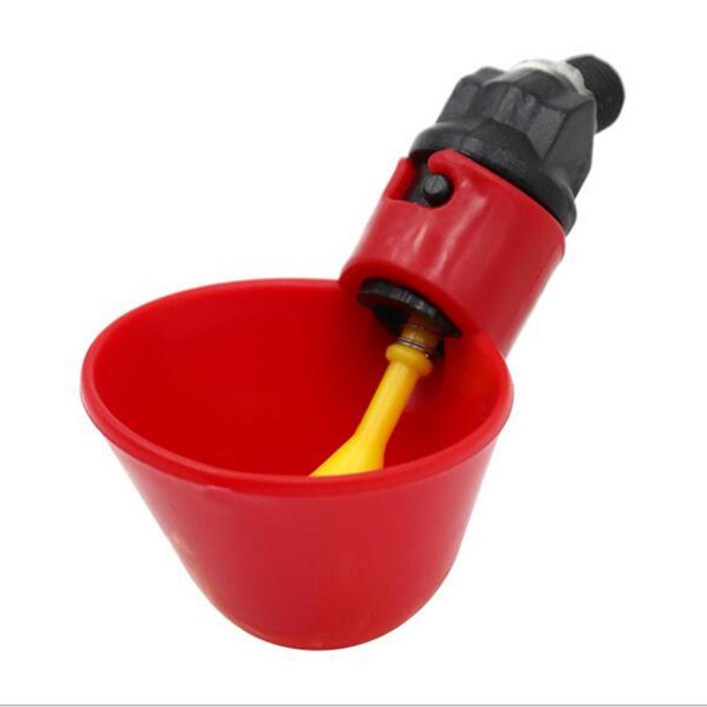 5pcs Quail Pigeon Drinker Watering Cups Feeder for Poultry Automatic Waterer