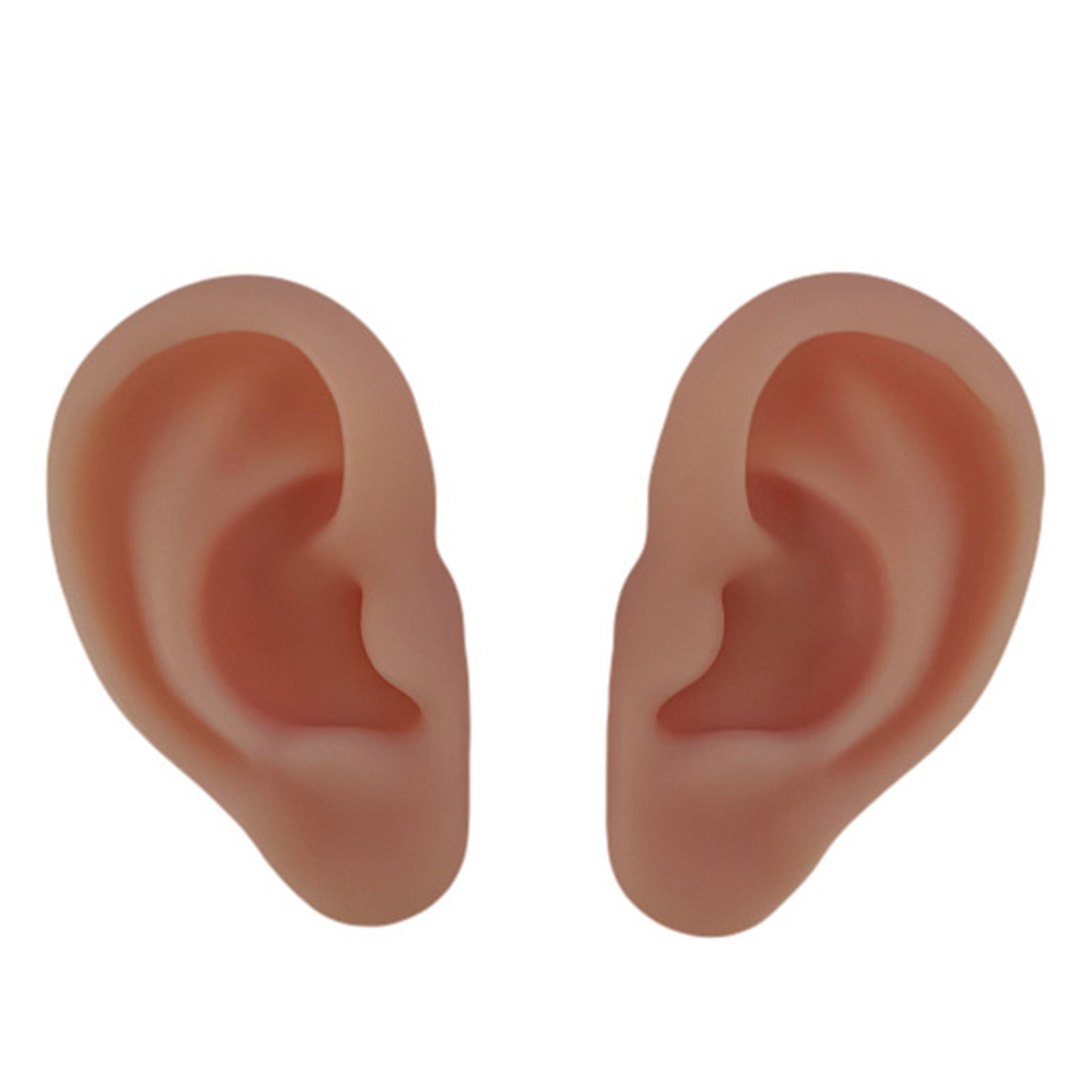 Ear Model Silicone Right and Left for Practicing Suturing Tool Learning