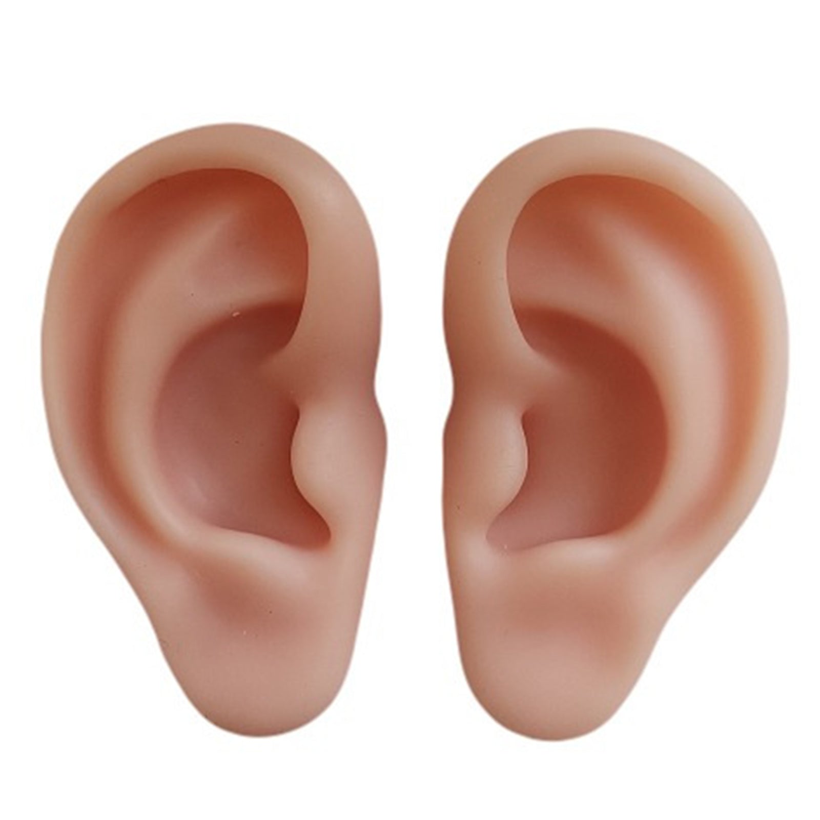 Ear Model Silicone Right and Left for Practicing Suturing Tool Learning