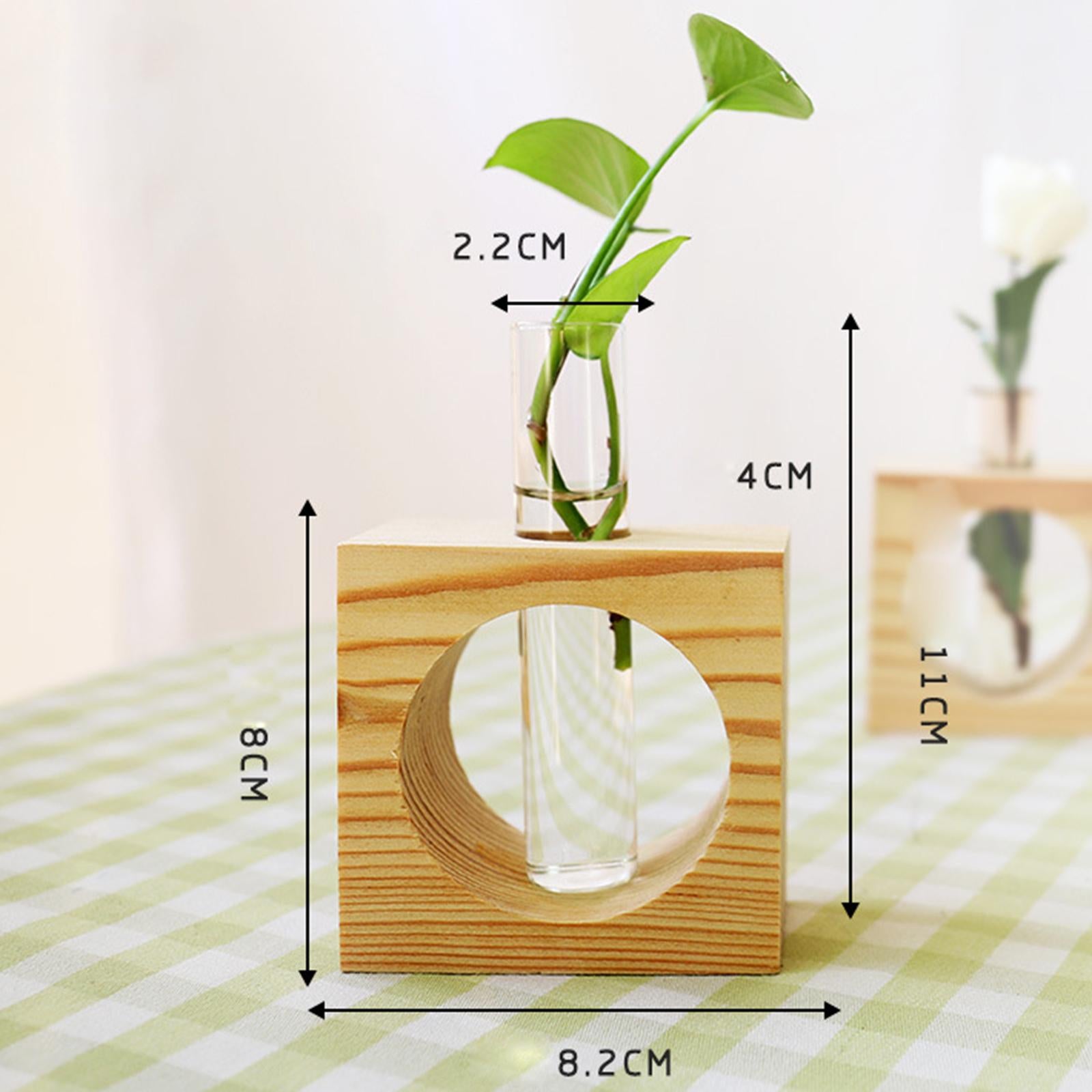 Hydroponic Plant Vase Bonsai Decoration Transparent for Office Desktop