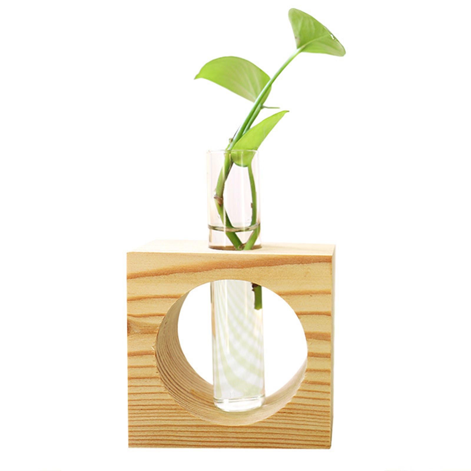 Hydroponic Plant Vase Bonsai Decoration Transparent for Office Desktop