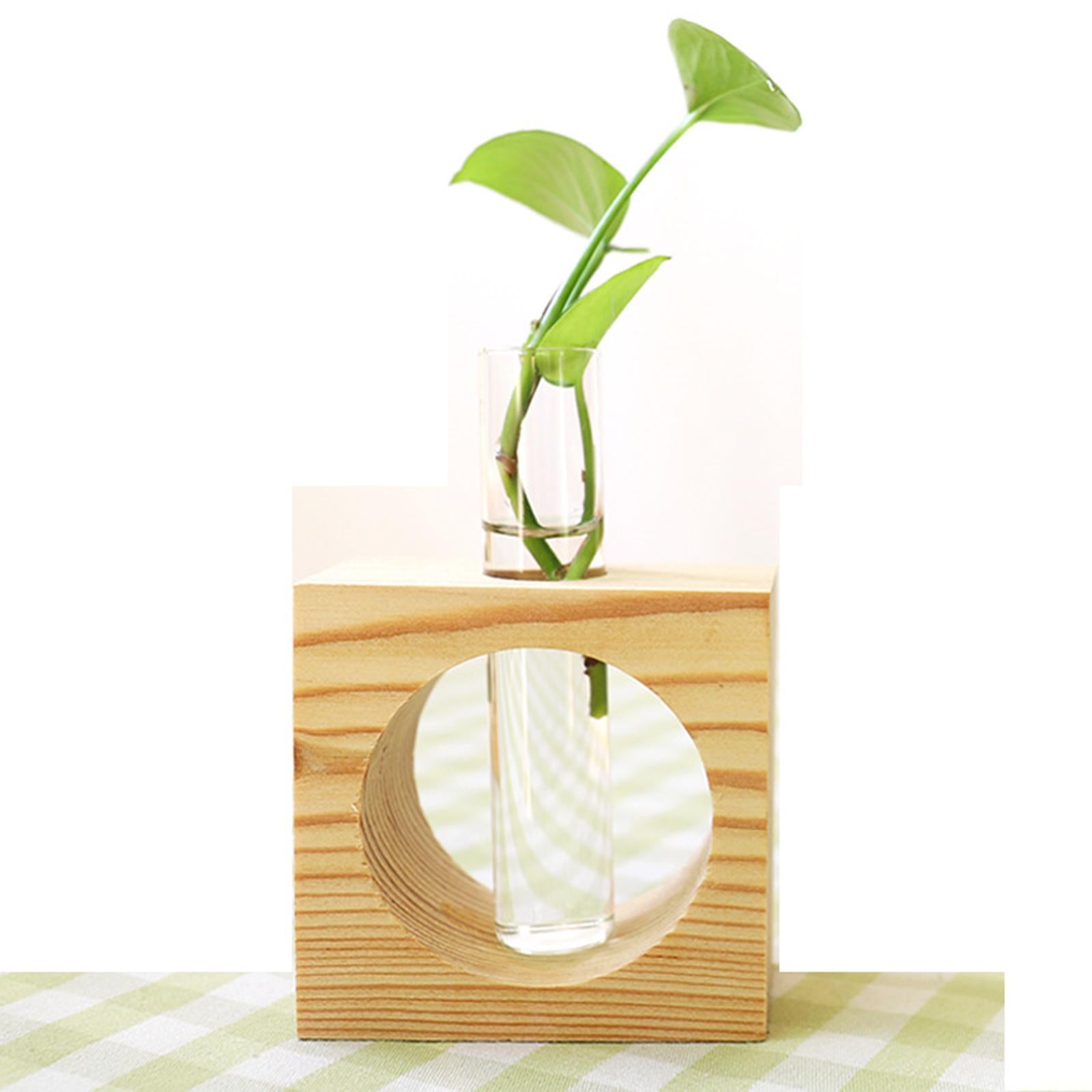 Hydroponic Plant Vase Bonsai Decoration Transparent for Office Desktop