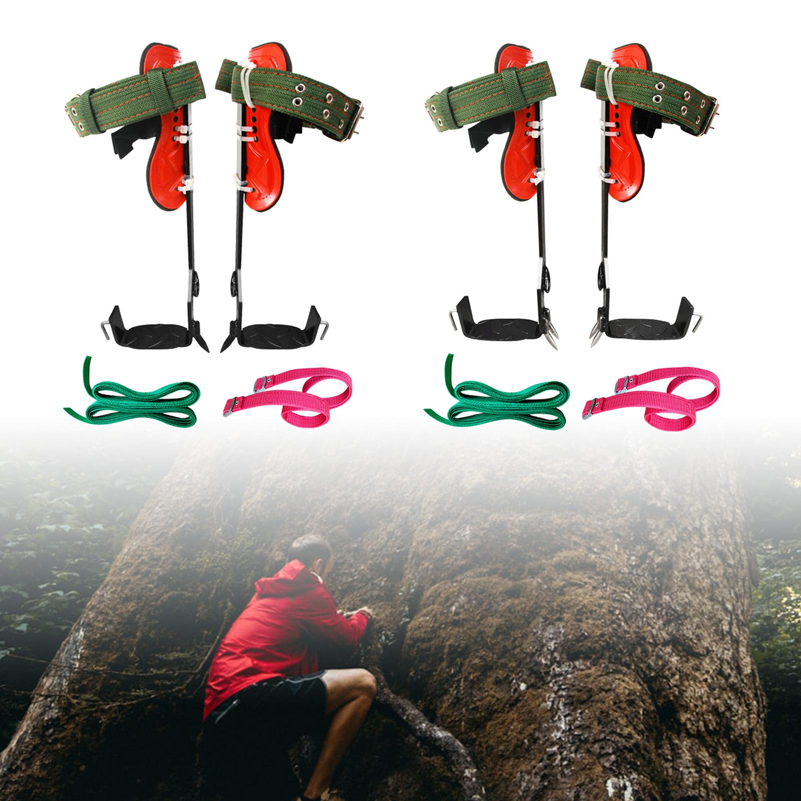 Carbon Steel Climbing Tree Spikes Set for Hunting Rock Climbing Camping 1 Gear