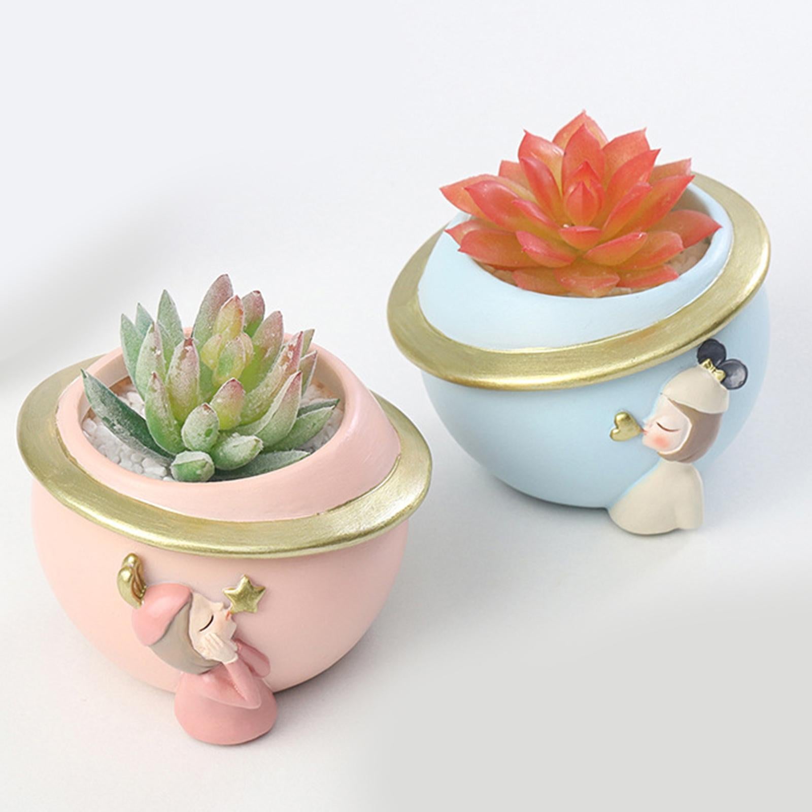 Succulent Planter Desktop Ornament Hand Painted for Outdoor Indoor Kitchen pink