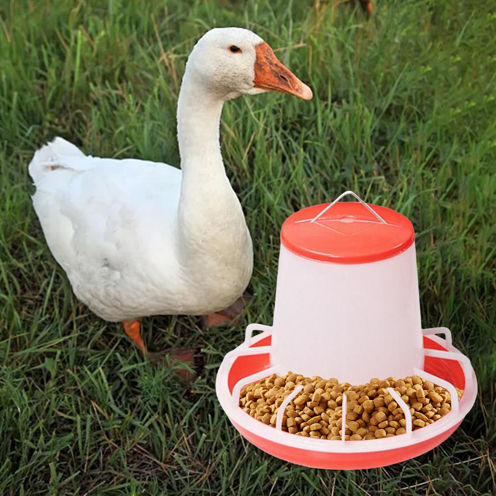5Pcs Chicken Drinker Feeder Food Dispenser for Backyard Poultry Supplies