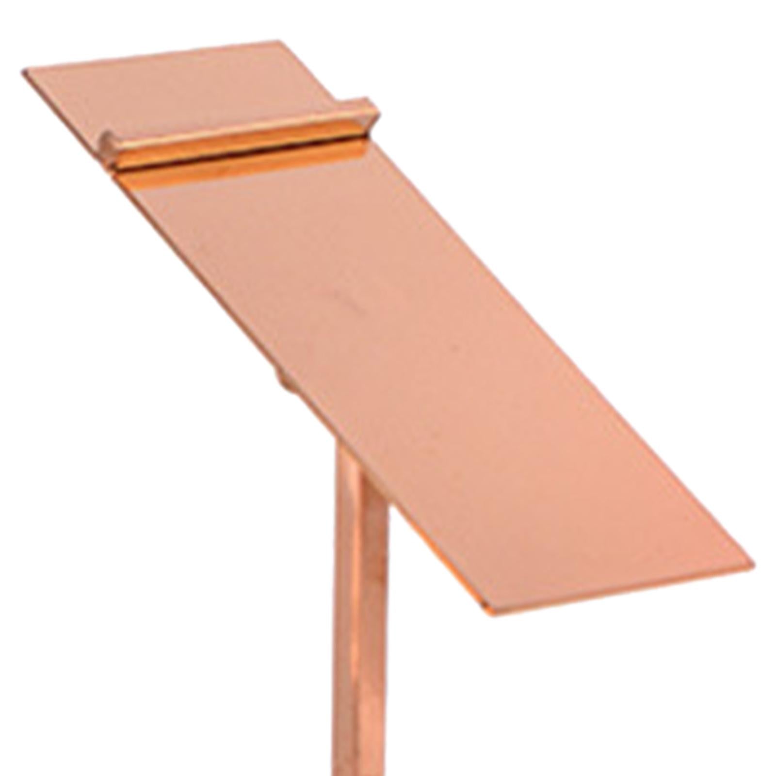 Stainless Steel Shoe Display Rack Stands for Display Clothing Shopping Rose gold high shelf