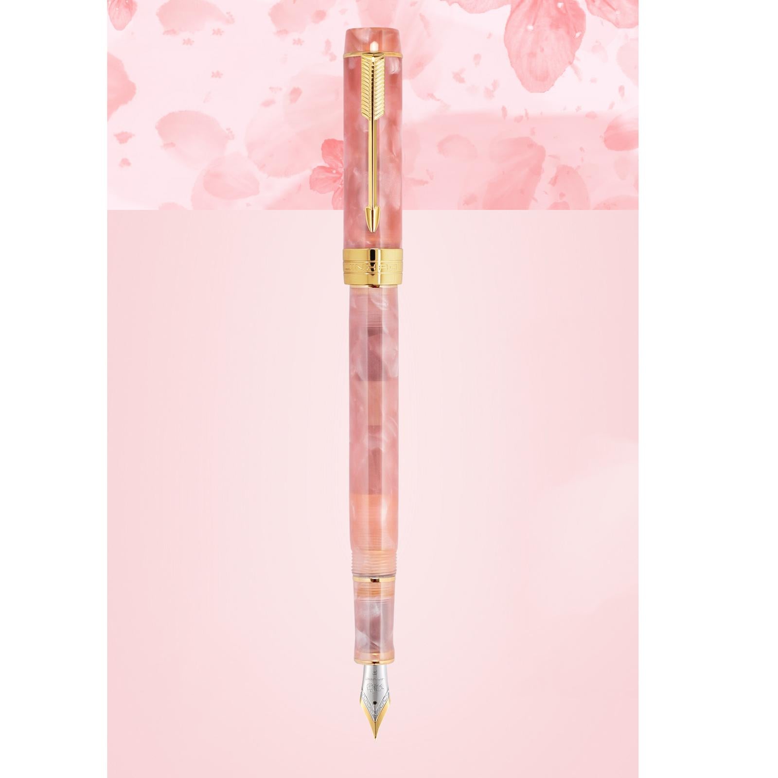 Fountain Pen 26 Fine Nib Left Right Hand Writing Instrument Pink